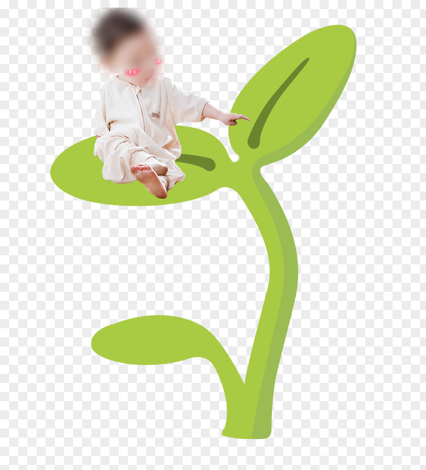 Small Grass Child Herbaceous Plant Computer File PNG