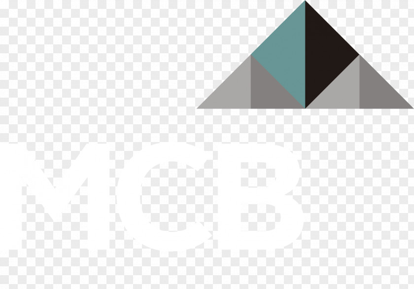 Triangle Brand Logo PNG