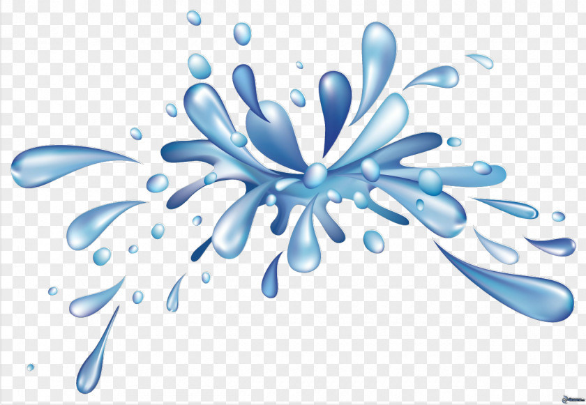 Water Splash Drop Clip Art PNG