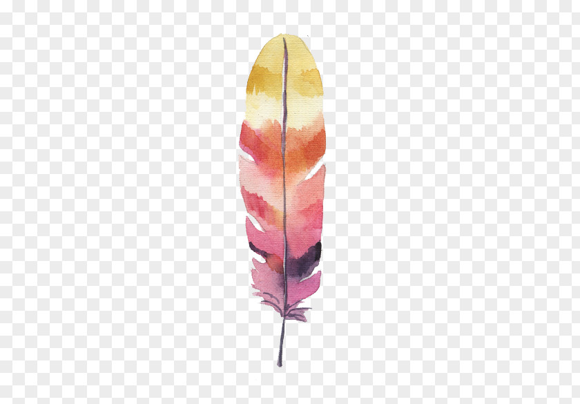 Watercolor Feather Painting PNG