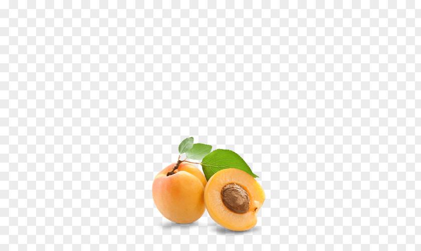 Apricot Nectar Kernel Noyau Fruit Preserves PNG