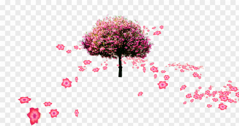 Beautiful Blooms Falling Petal Flower Tree PNG