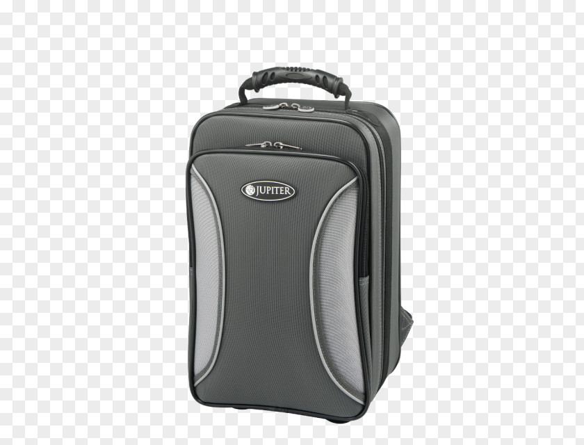 Design Hand Luggage Electronic Tuner Cornet Klarlack PNG