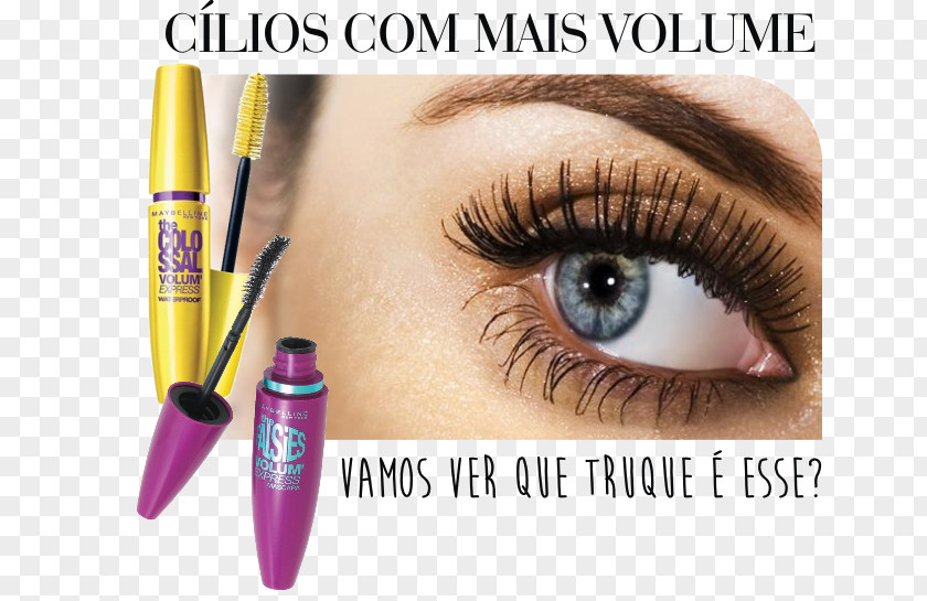 Eye Eyelash Eyebrow United States Cosmetics PNG