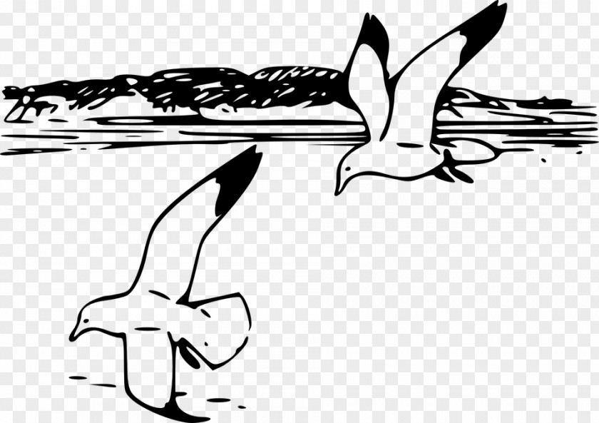 Gulls Shore Clip Art PNG