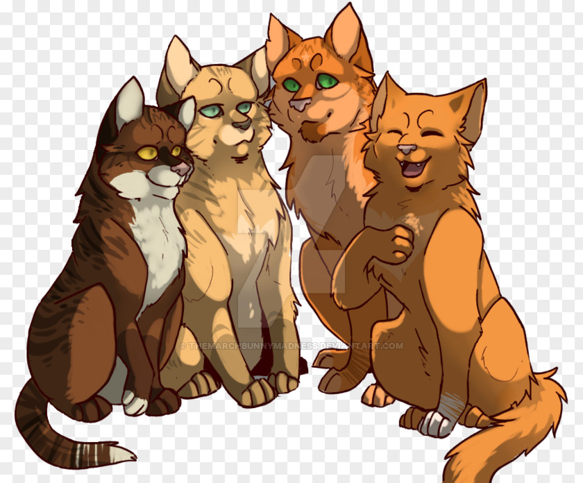 Kitten Whiskers Cat Tigerstar Hawkfrost PNG