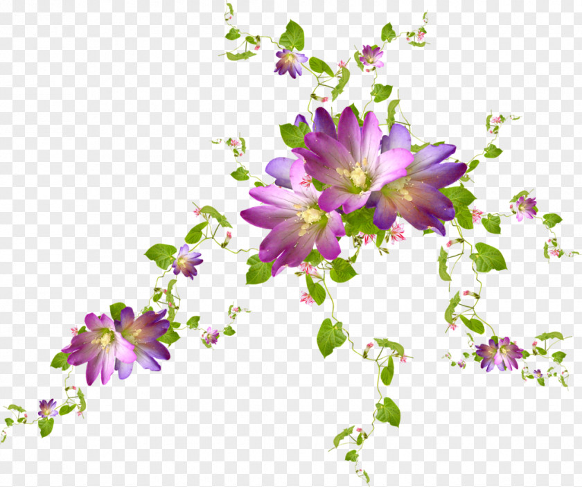Lavanda Cut Flowers Purple Violet Floral Design PNG