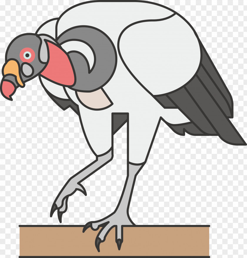 Ostrich Common Bird Lineated Woodpecker Icon PNG