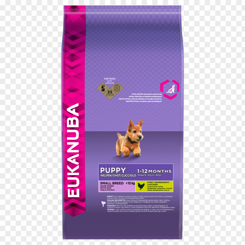 Puppy Your Eukanuba Dog Food Breed PNG