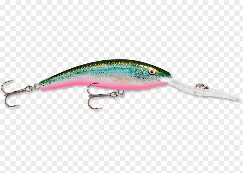 Rainbow Trout Spoon Lure Plug Rapala Trolling Minnow PNG