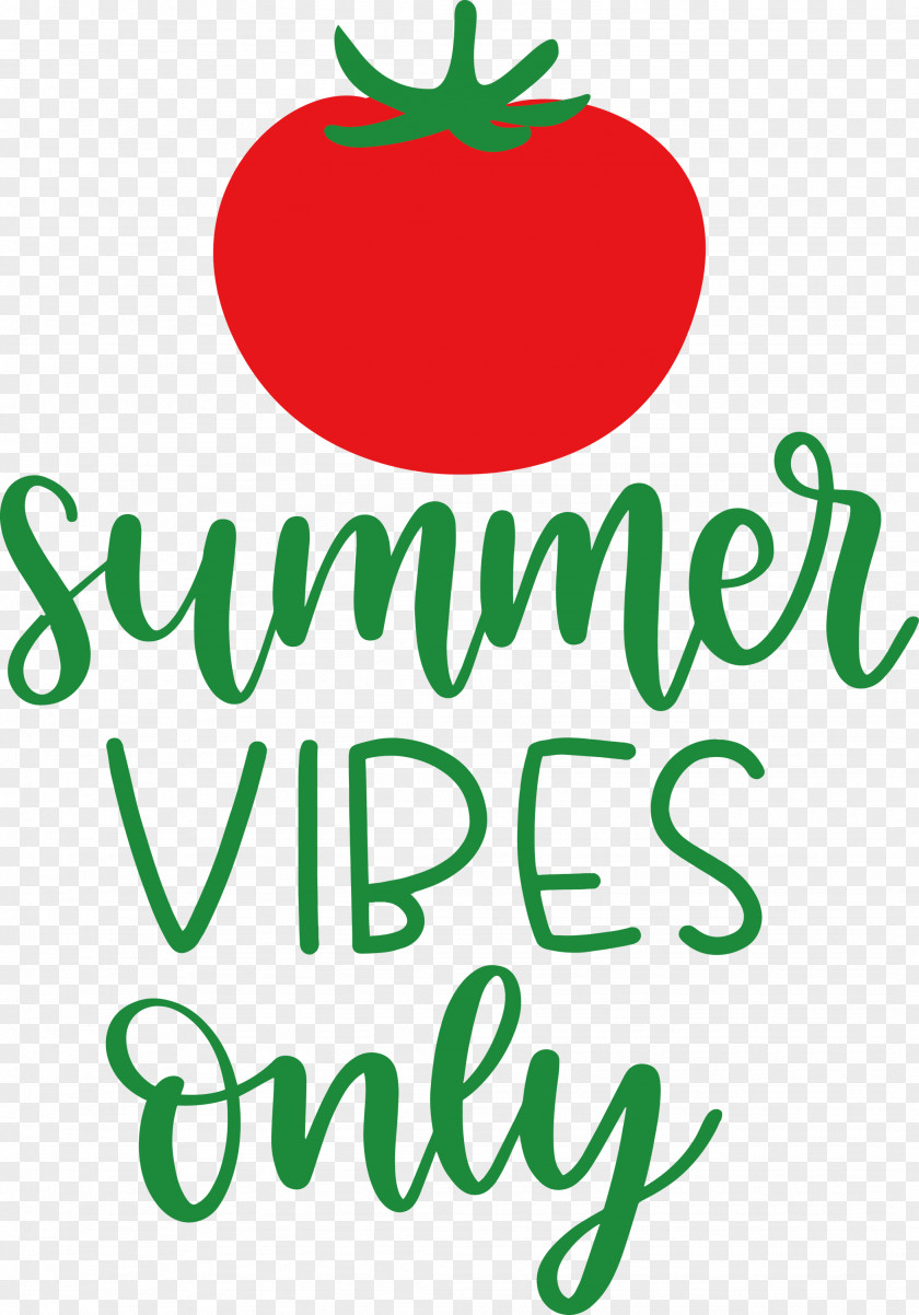 Summer Vibes Only PNG