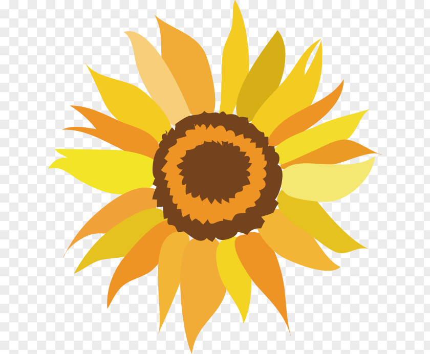 Sunflower Zenfone 3 ZE520KL Common Clip Art PNG