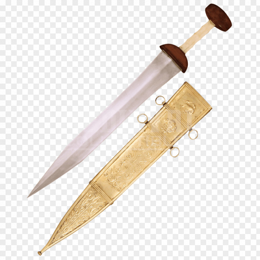 Sword Ancient Rome Mainz Gladius PNG