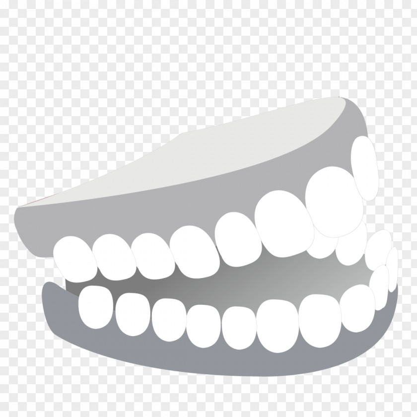 White Teeth Tooth PNG