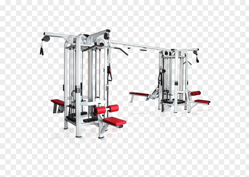 Bodybuilding Fitness Centre Exercise Equipment CrossFit Physical PNG