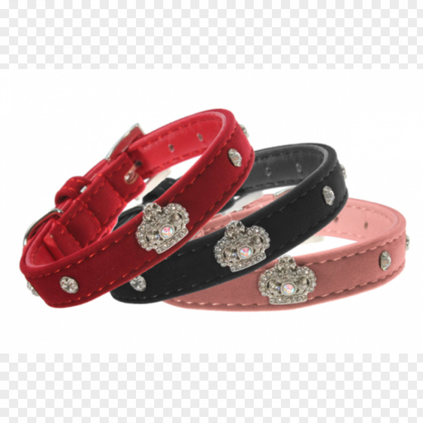 Dog Bracelet Collar Buckle Belt PNG