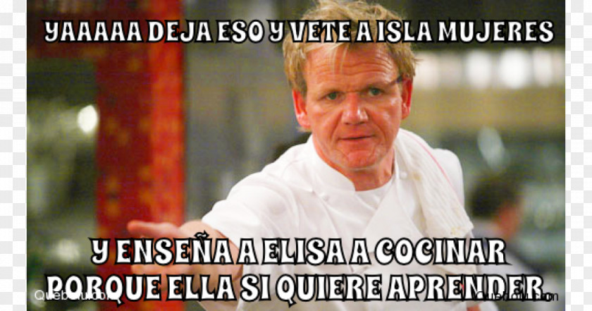 Gordon Ramsey Ramsay Hell's Kitchen Chef PNG