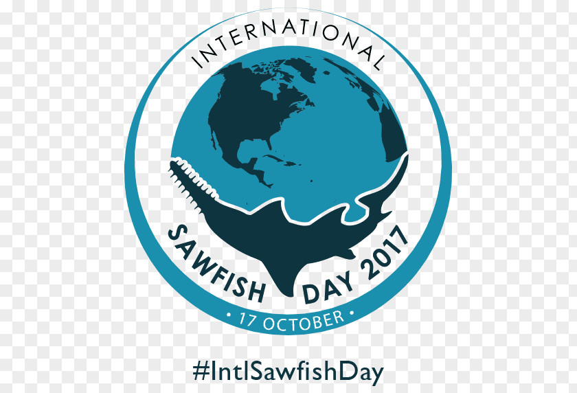International South Cooperation Day Sawfish Logo Sawshark PNG