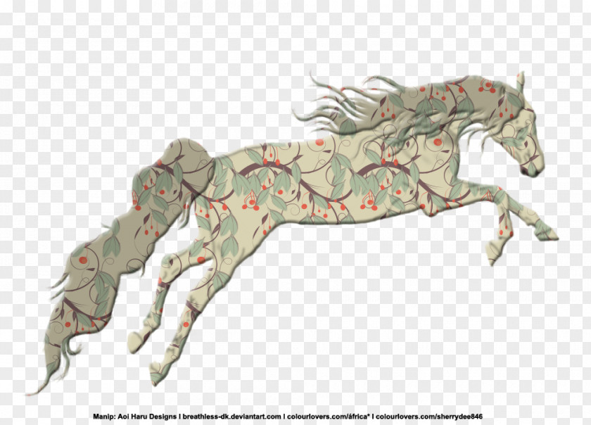 Mustang Mane Stallion Pony Horse Tack PNG