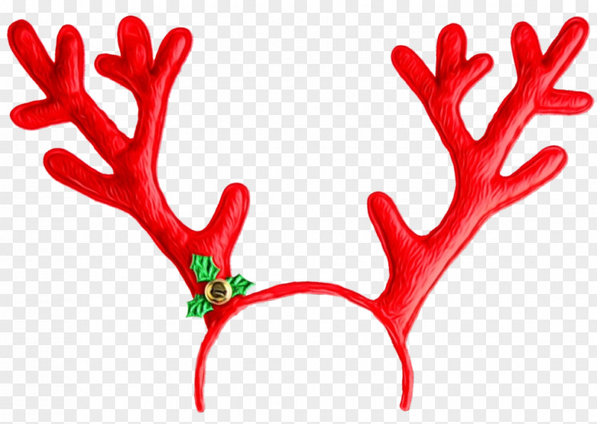 Plant Red Clip Art PNG