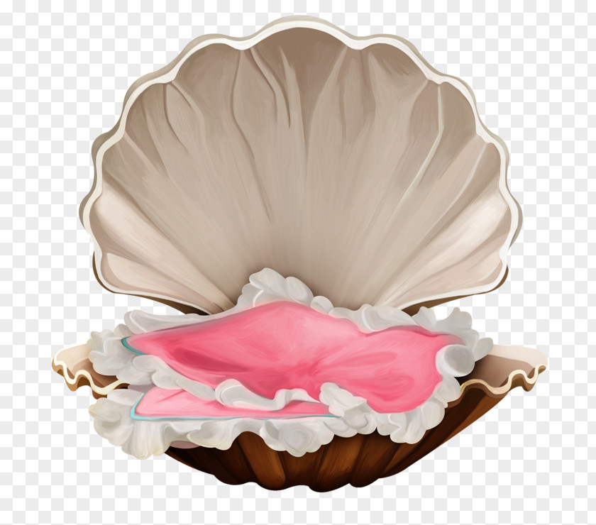 Seashell Caracola Clip Art PNG