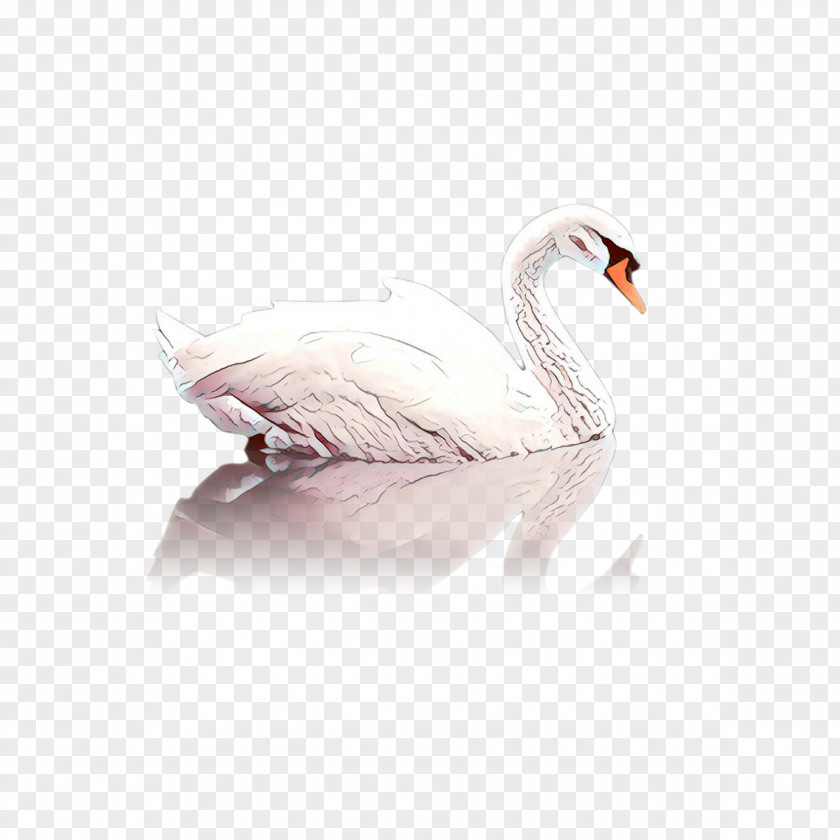 Snow Goose Wildlife Cartoon PNG