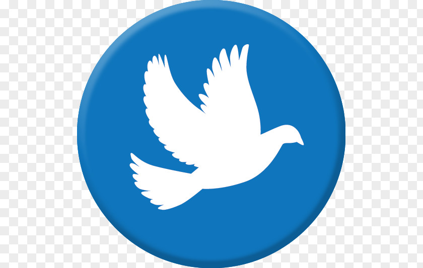 The Dove Of Peace Social Media Tooth Decay Dentistry PNG