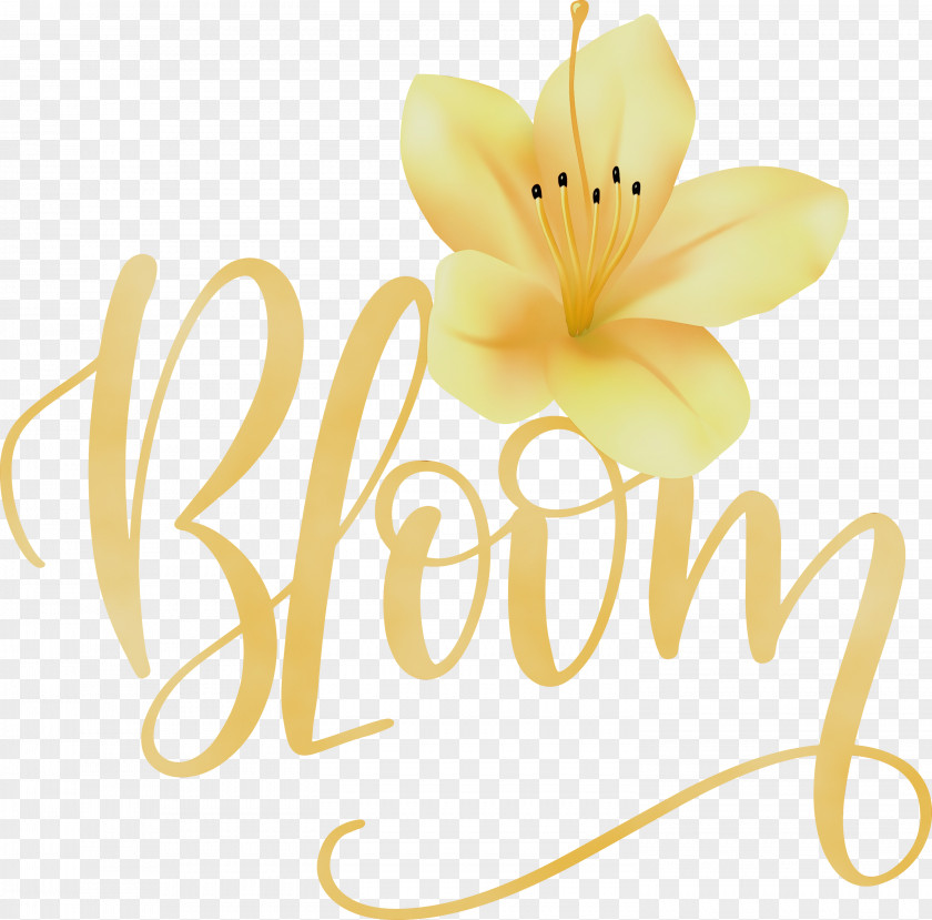 Cut Flowers Floristry Data Petal PNG