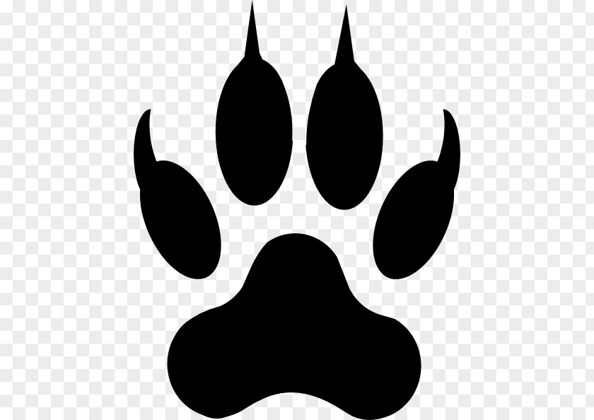 Tiger Cougar Paw Dog Clip Art PNG