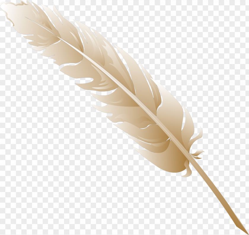 Feathers Feather Quill PNG
