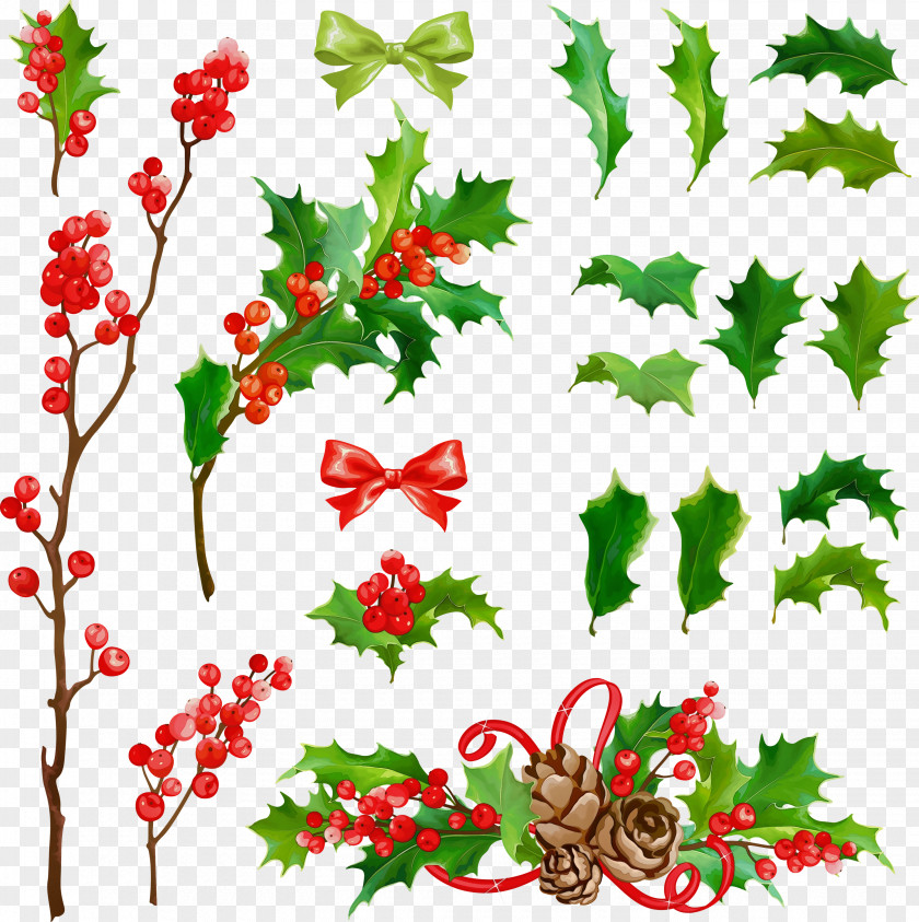 Flower Leaf Holly PNG