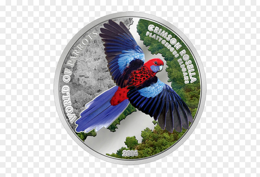 Silver Armed Spiders Coin Crimson Rosella Gold PNG