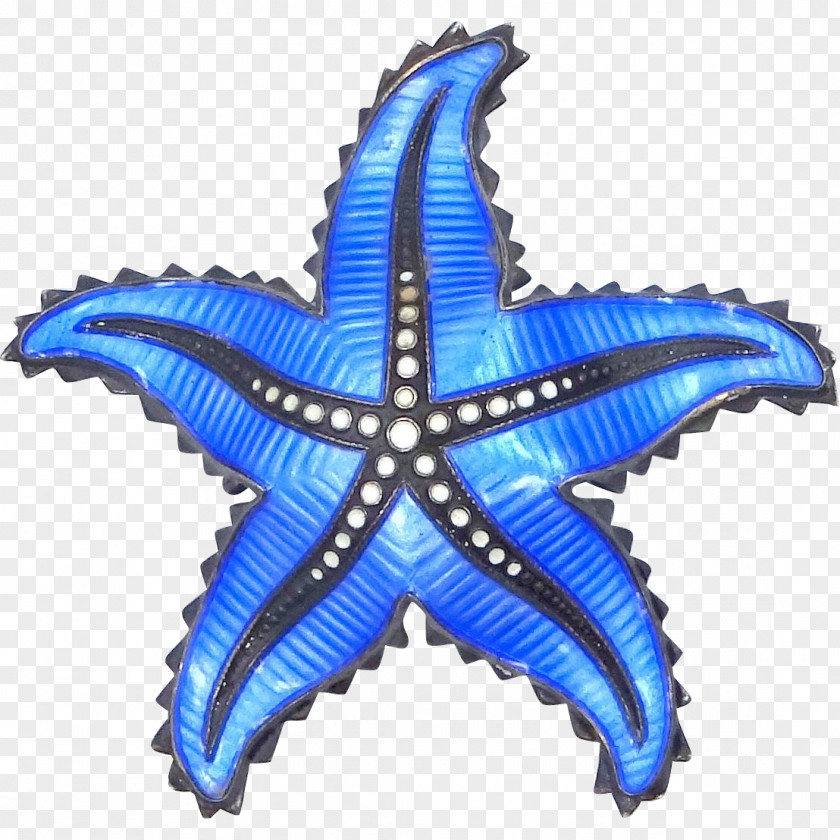 Starfish Flag Of Birmingham, Alabama City Birmingham PNG