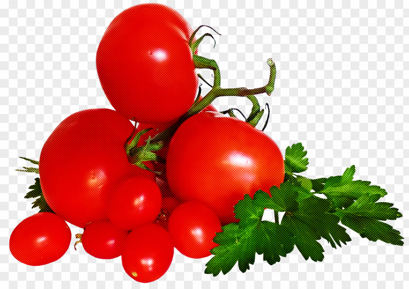 Tomato PNG