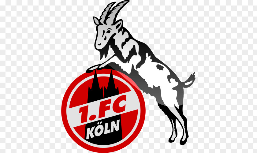 Football 1. FC Köln Bundesliga Bayern Munich Borussia Mönchengladbach Cologne PNG