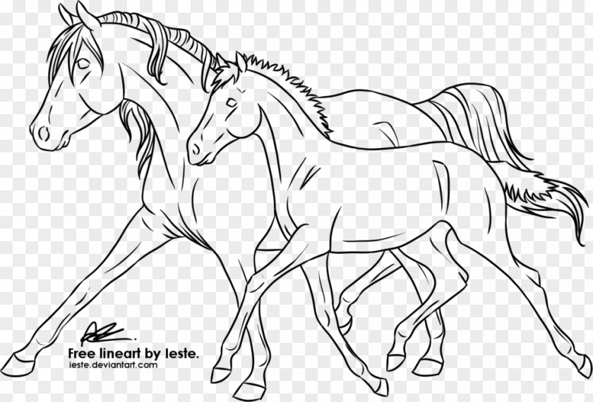 Horse Baby Line Art Foal Mane Mustang Pony PNG