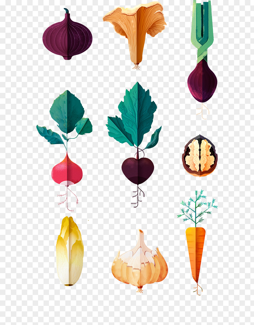 Vegetable Graphic Design PNG