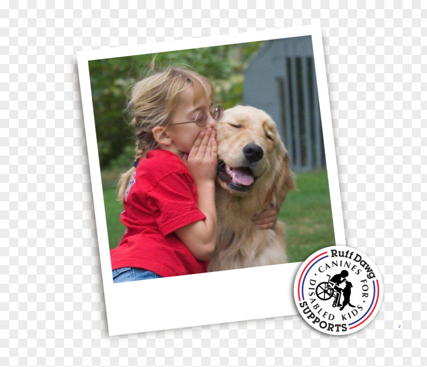 Children With Disabilities Golden Retriever Puppy Dog Breed Companion PNG