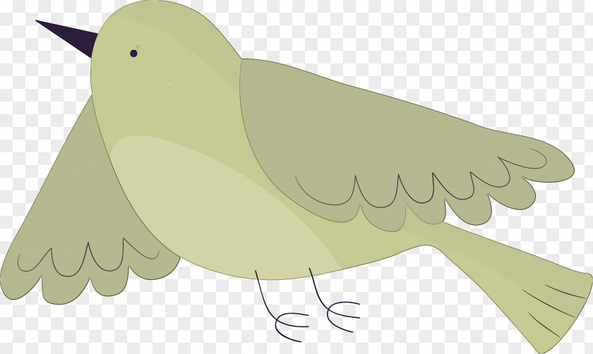 Feather PNG