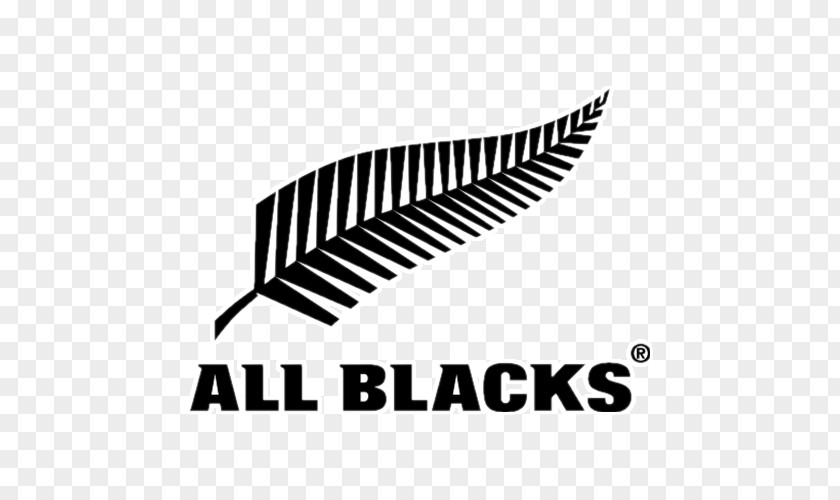 New Zealand National Rugby Union Team Australia British & Irish Lions 2017 And Tour To PNG