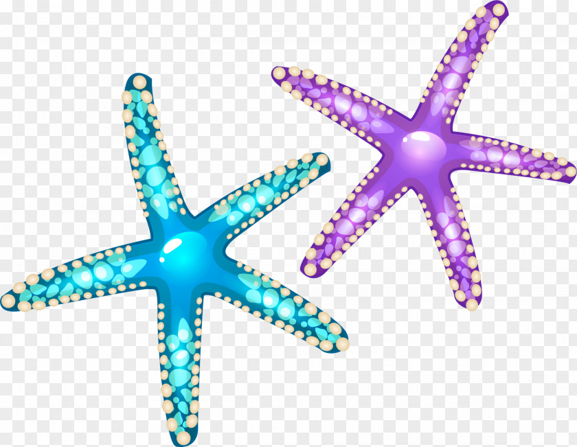 Colorful Cartoon Starfish Euclidean Vector Seashell PNG