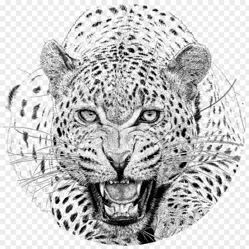 Leopard Yala National Park Cheetah IPhone Hotel Chandrika PNG
