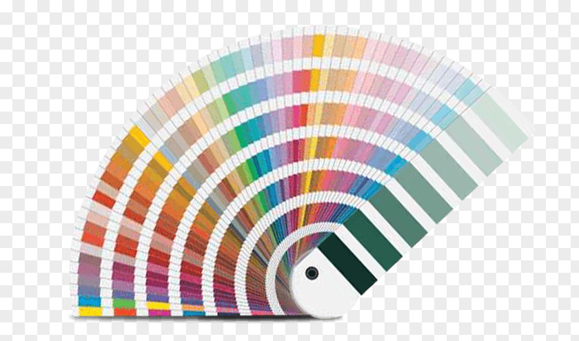 Pantone Color Chart Printing PNG