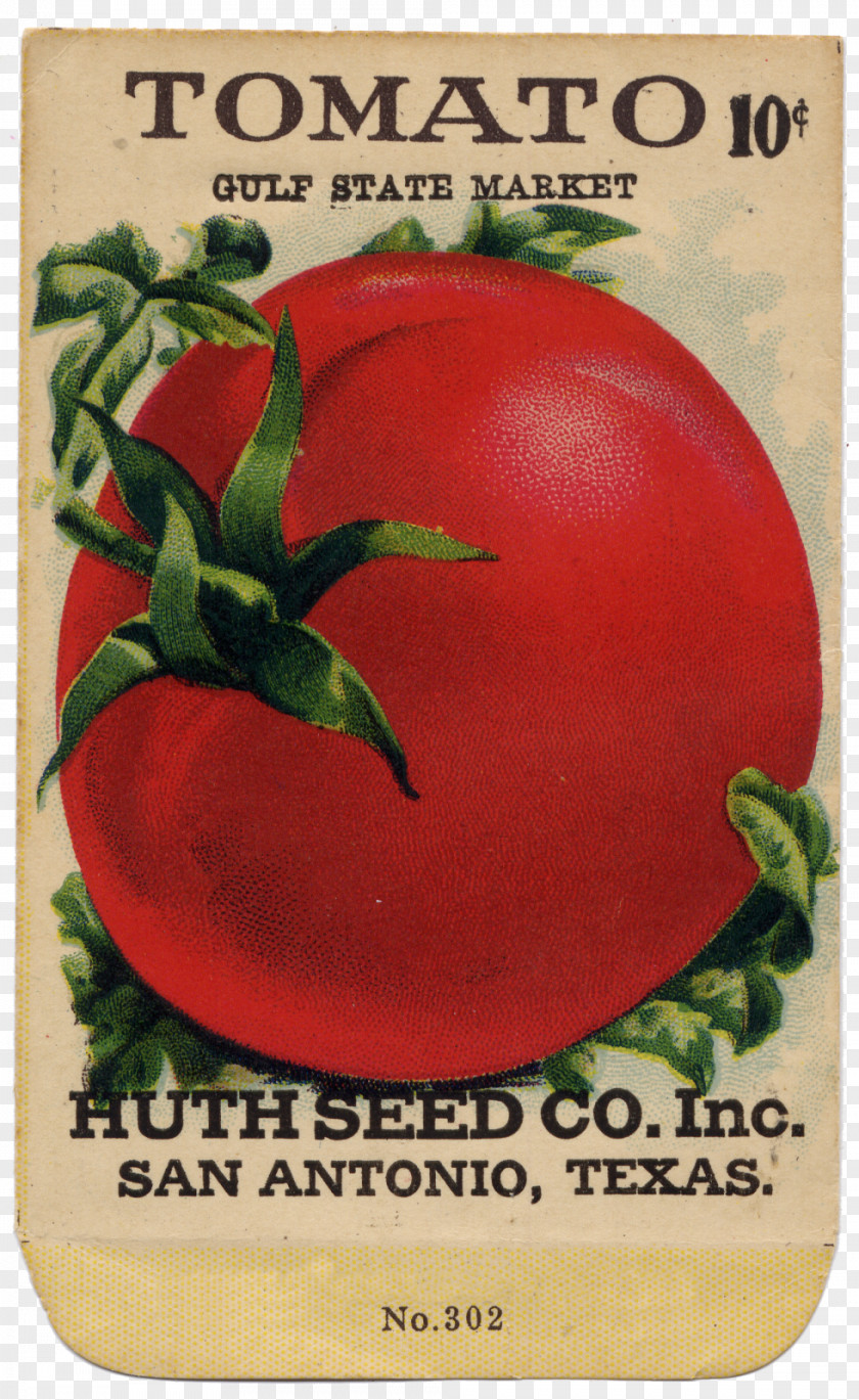 Tomato Seeds Food Seed Petunia Kunstdruck PNG