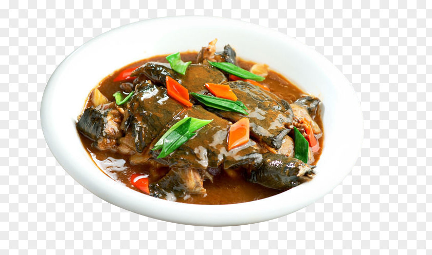 Turtle Secret Red Curry Chinese Cuisine Poster Softshell PNG