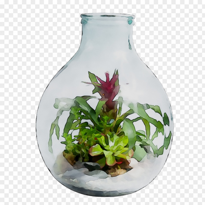 Vase Plants Glass Unbreakable PNG