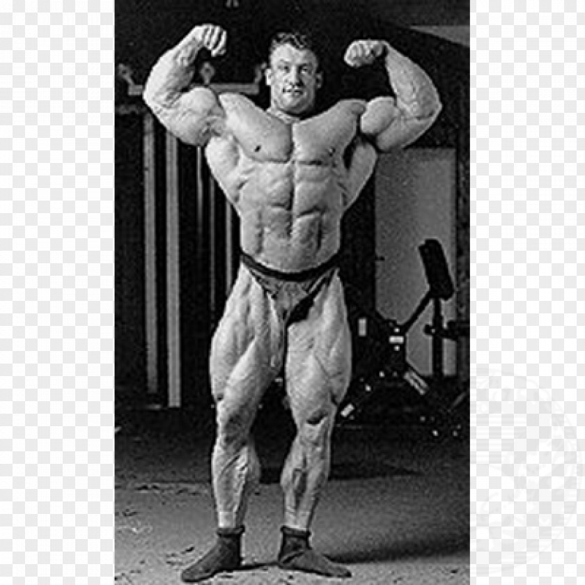 Bodybuilding 1975 Mr. Olympia Professional International Federation Of BodyBuilding & Fitness PNG