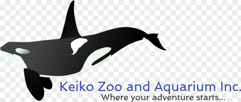 Canada's Accredited Zoos And Aquariums Heaven Artist Logo Brand Porpoise PNG