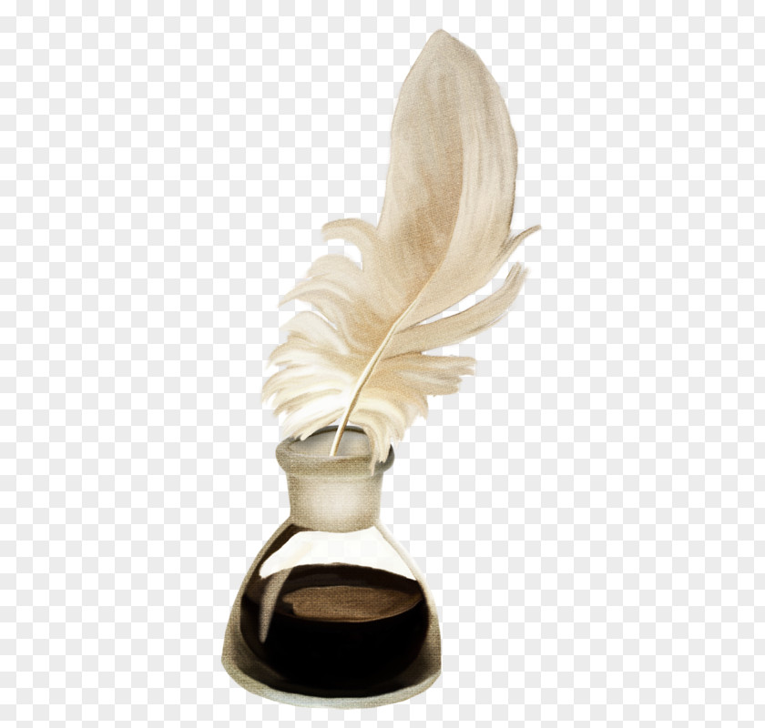 Feather Image Quill Drawing PNG