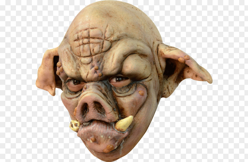 Mask Domestic Pig Dog Rabies Halloween Costume PNG
